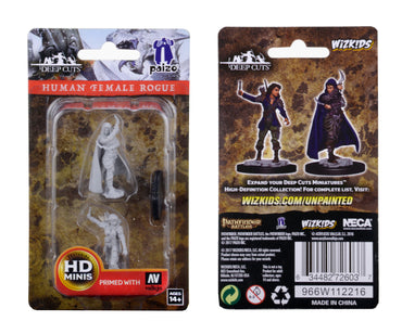 Wizkids Small: Human Rogue Female 72603