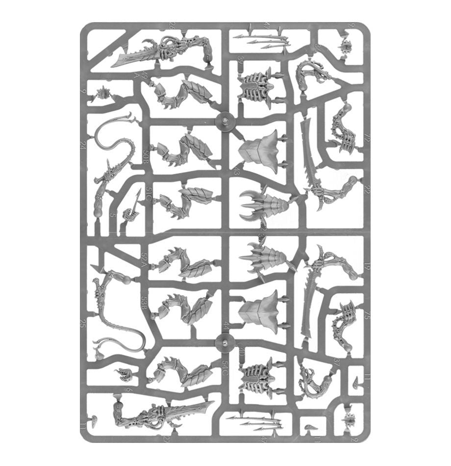 Tyranids: Warriors 51-18