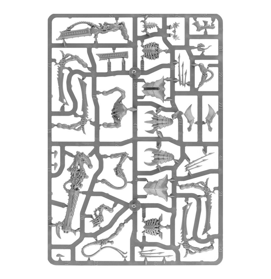 Tyranids: Warriors 51-18