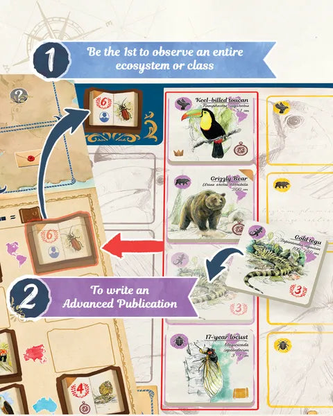 In the Footsteps of Darwin: Correspondence Expansion