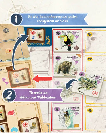 In the Footsteps of Darwin: Correspondence Expansion