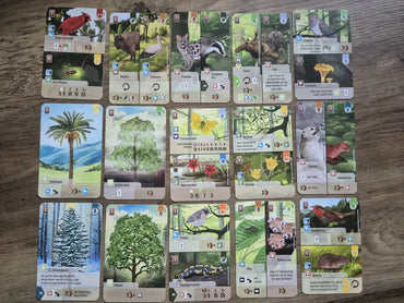 Forest Shuffle Exploration Expansion