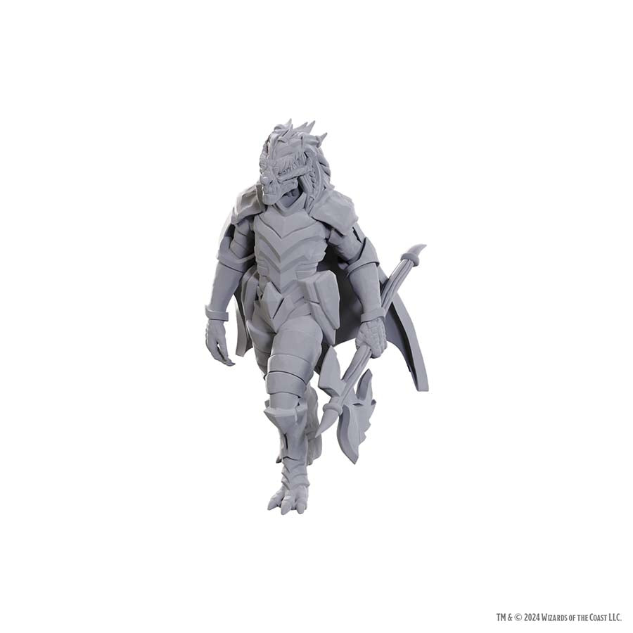 Wizkids Small: Dragonborn of Tiamat 90759