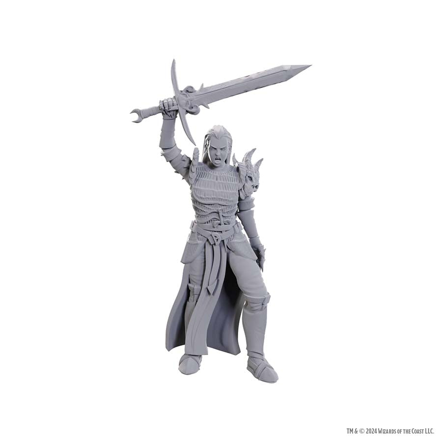 Wizkids Small: Blackguard 90772