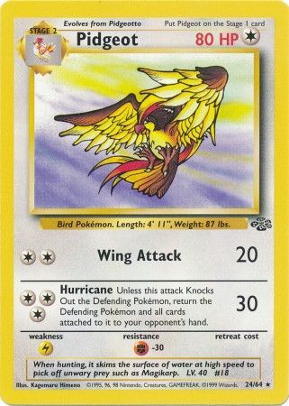 Pidgeot (24/64) [Jungle Unlimited]