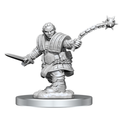 Wizkids Small: Dwarf Fighter 90406