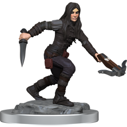 Wizkids Small: Half-Elf Rogue 90485