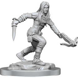 Wizkids Small: Half-Elf Rogue 90485