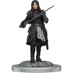 Wizkids Small: Half-Elf Rogue 90485