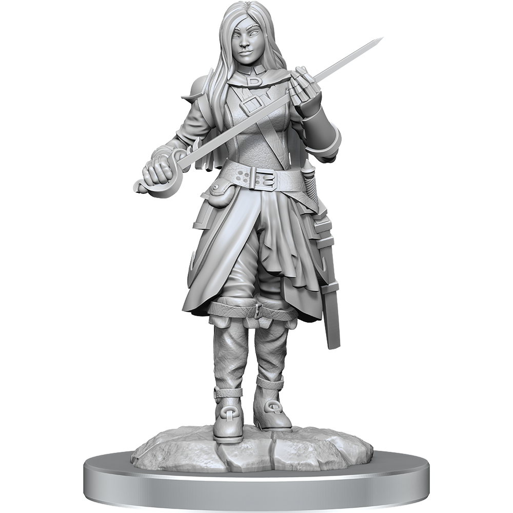 Wizkids Small: Half-Elf Rogue 90485