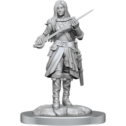 Wizkids Small: Half-Elf Rogue 90485