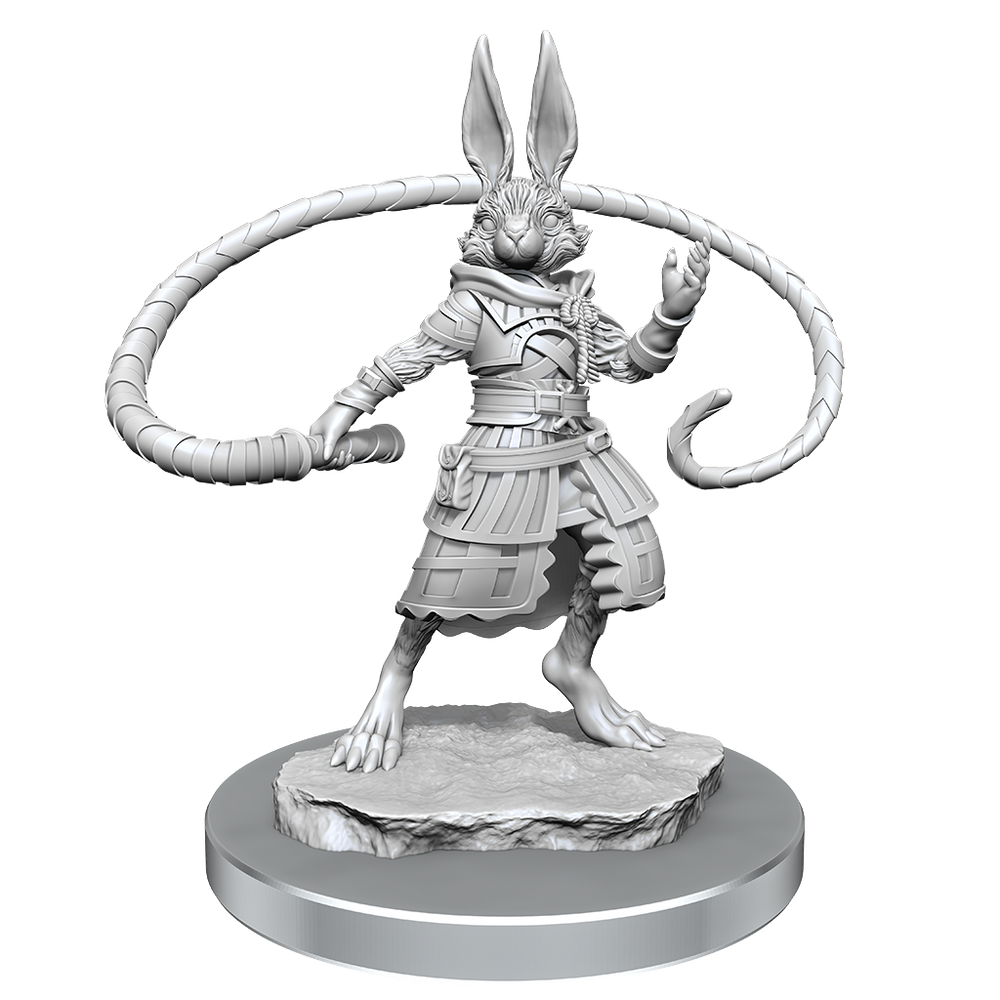 Wizkids Small: Harengon Rogues 90487