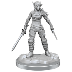 Wizkids Small: Elf Rogue & Half-Elf Rogue Protege 90582