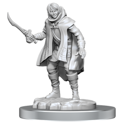 Wizkids Small: Elf Rogue & Half-Elf Rogue Protege 90582