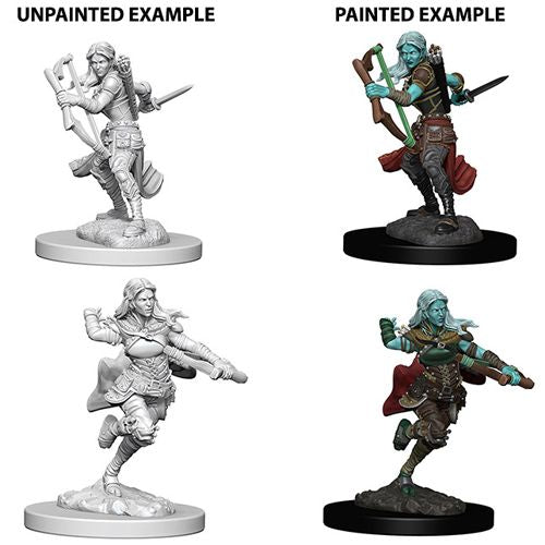 Wizkids Small: Genasi, Air Rogue 73204