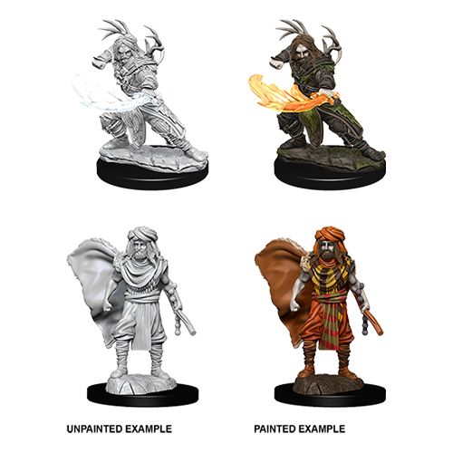 Wizkids Small: Human Druid 73390