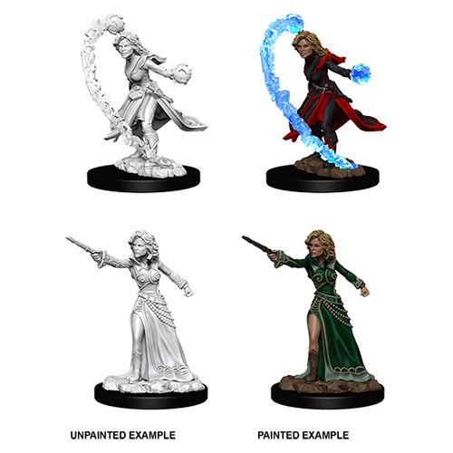 Wizkids Small: Human Wizard Female 73412