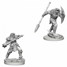Wizkids Small: Dragonborn Fighter 73340