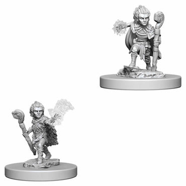 Wizkids Small: Gnome Druid 73346