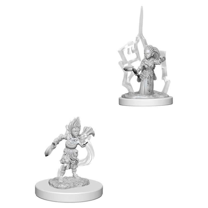 Wizkids Small: Gnome Druid 73347