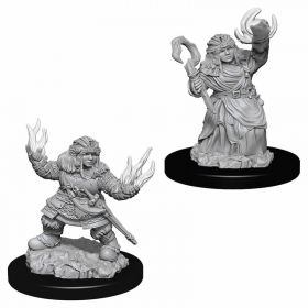 Wizkids Small: Dwarf Summoner, Female 73543