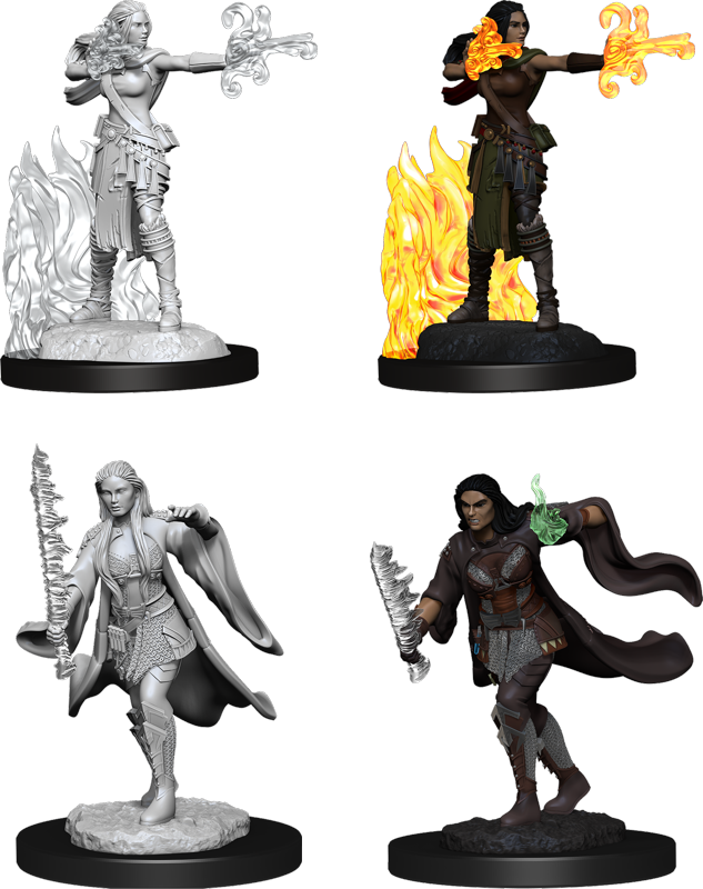 Wizkids Small: Human Multiclass Warlock/Sorcerer Female 90149