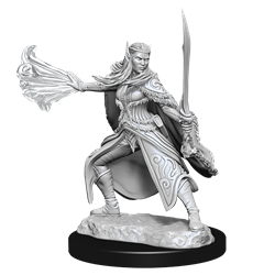 Wizkids Small: Eladrin Winter and Spring Eladrin 90320