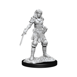 Wizkids Small: Human Fighter 90326