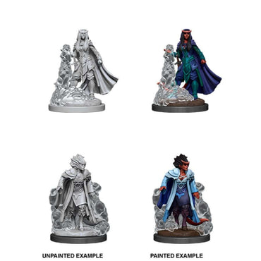 Wizkids Small: Tiefling Sorcerer 90059