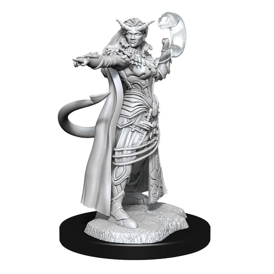 Wizkids Small: Tiefling Sorcerer 90304