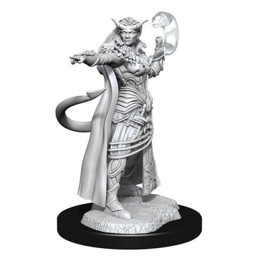Wizkids Small: Tiefling Sorcerer 90304