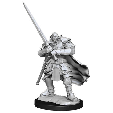 Wizkids Small: Half-Orc Paladin 90307