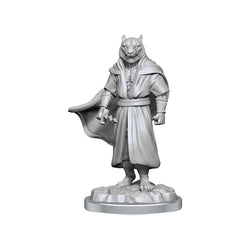 Wizkids Small: Human Sorcerer Merchant & Tiger Demon 90551