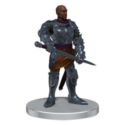 Dungeons and Dragons: Icons of the Realms: Band of Heroes 96221